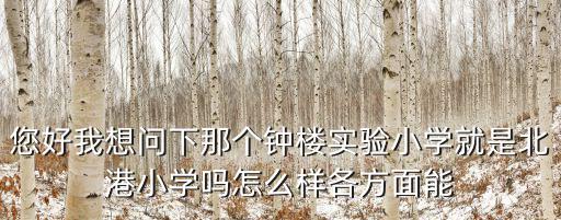 您好我想問下那個鐘樓實驗小學就是北港小學嗎怎么樣各方面能