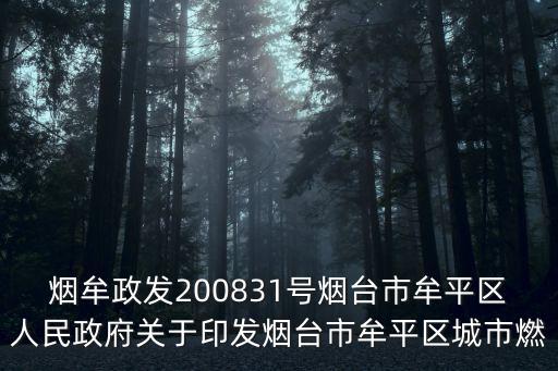 煙牟政發200831號煙臺市牟平區人民政府關于印發煙臺市牟平區城市燃