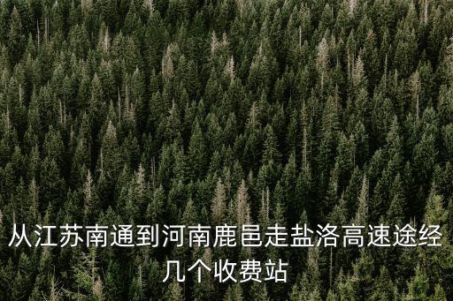 鹽洛高速，濟廣高速到鹽洛高速有幾個服務區
