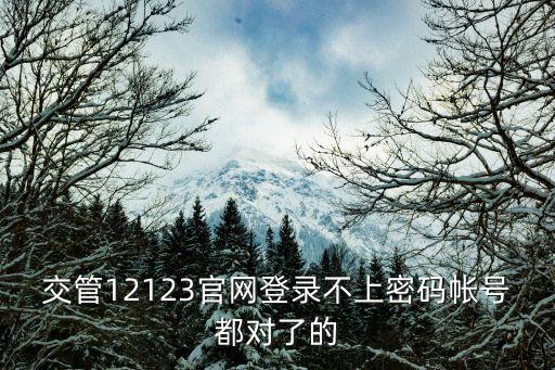 12123交管登錄官網，12123什么網站啊