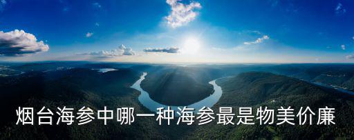 煙臺(tái)海參中哪一種海參最是物美價(jià)廉