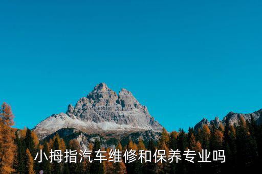 小拇指汽車維修和保養專業嗎