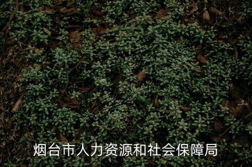 煙臺市人力資源和社會保障局