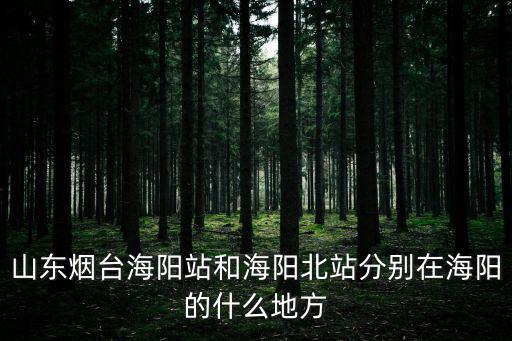 山東煙臺海陽站和海陽北站分別在海陽的什么地方