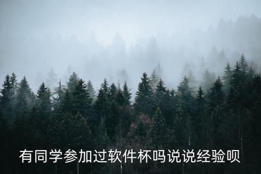有同學參加過軟件杯嗎說說經驗唄