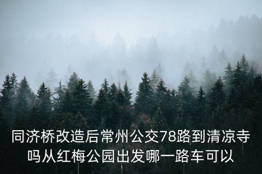 同濟(jì)橋改造后常州公交78路到清涼寺嗎從紅梅公園出發(fā)哪一路車可以