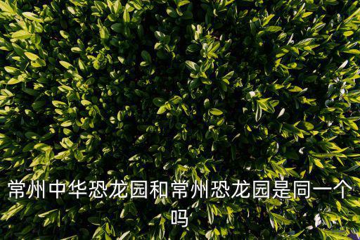 常州中華恐龍園和常州恐龍園是同一個嗎