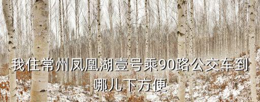 我住常州鳳凰湖壹號乘90路公交車到哪兒下方便