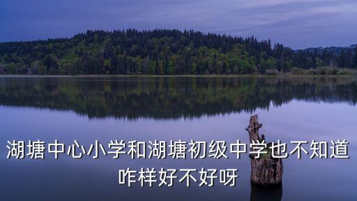 湖塘中心小學和湖塘初級中學也不知道咋樣好不好呀