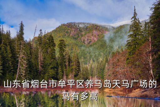 山東省煙臺市牟平區養馬島天馬廣場的馬有多高