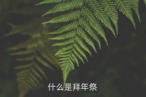 什么是拜年祭