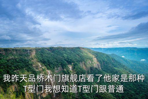 我昨天品橋木門旗艦店看了他家是那種T型門我想知道T型門跟普通