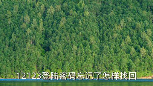 12123登陸密碼忘記了怎樣找回