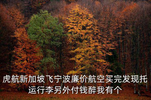 虎航新加坡飛寧波廉價航空買完發現托運行李另外付錢醉我有個
