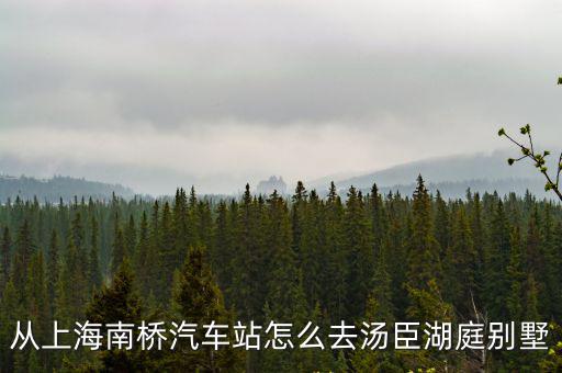 湯臣湖庭，從上海南橋汽車站怎么去湯臣湖亭別墅