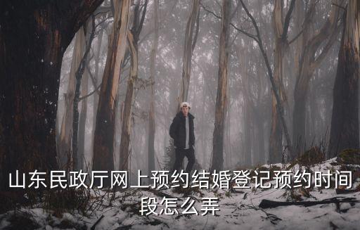 山東民政廳網上預約結婚登記預約時間段怎么弄