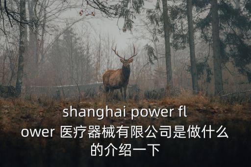 shanghai power flower 醫療器械有限公司是做什么的介紹一下