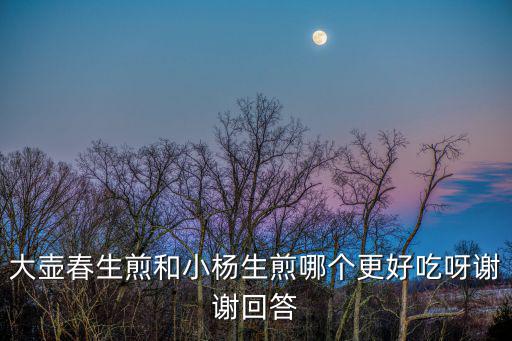大壺春生煎和小楊生煎哪個更好吃呀謝謝回答