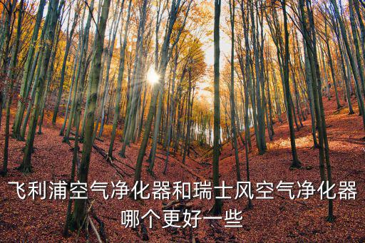 飛利浦空氣凈化器和瑞士風空氣凈化器哪個更好一些