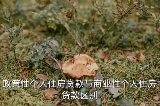 政策性個人住房貸款與商業(yè)性個人住房貸款區(qū)別