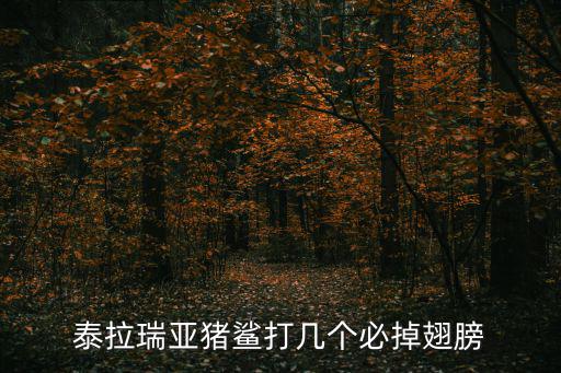 泰拉瑞亞豬鯊打幾個必掉翅膀