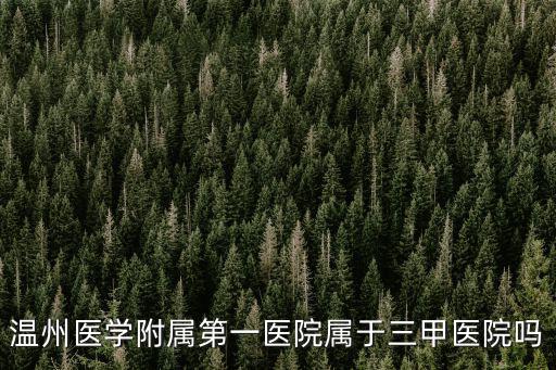 溫州附屬第一醫(yī)院，溫州醫(yī)學(xué)附屬第一醫(yī)院屬于三甲醫(yī)院嗎