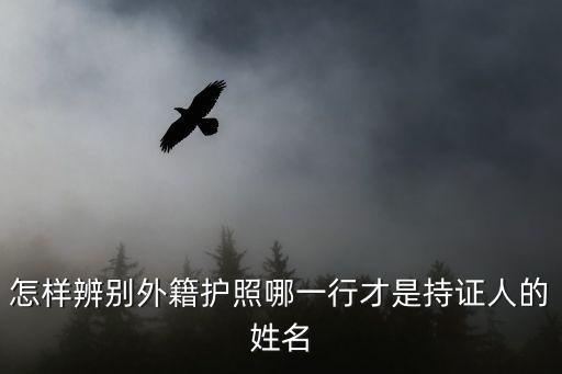 怎樣辨別外籍護照哪一行才是持證人的姓名