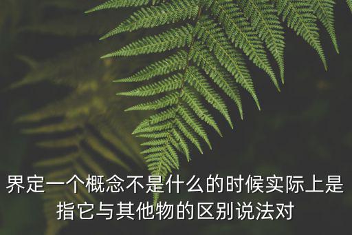 界定一個概念不是什么的時候實際上是指它與其他物的區別說法對