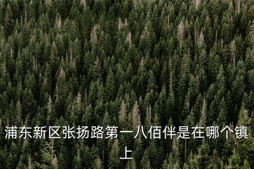 浦東新區張揚路第一八佰伴是在哪個鎮上