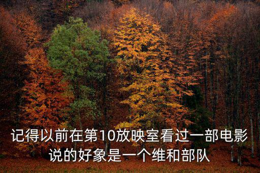 記得以前在第10放映室看過一部電影說的好象是一個維和部隊