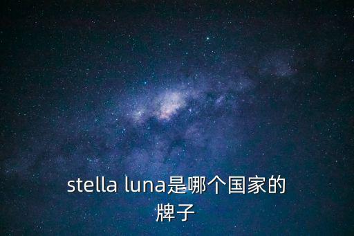 stellaluna，stella luna質量如何是真皮嗎