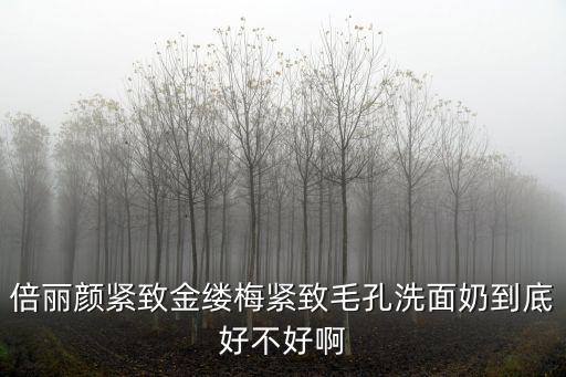 倍麗顏緊致金縷梅緊致毛孔洗面奶到底好不好啊