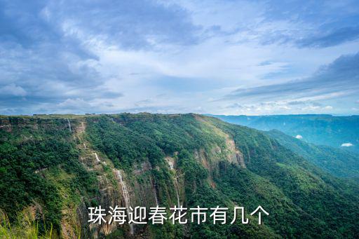 珠海迎春花市有幾個