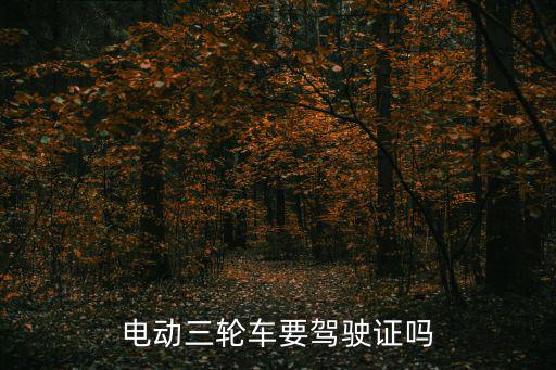 電動三輪車要駕駛證嗎