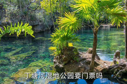 丁塘河濕地公園要門票嗎
