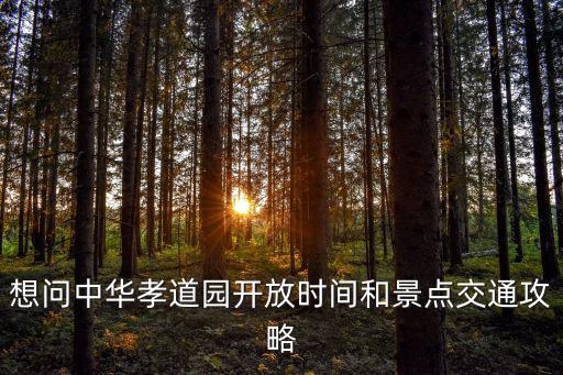 想問中華孝道園開放時間和景點交通攻略
