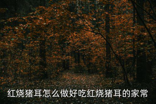 紅燒豬耳怎么做好吃紅燒豬耳的家常