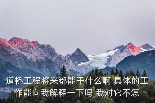 道橋工程將來都能干什么啊 具體的工作能向我解釋一下嗎 我對它不怎