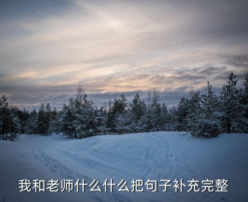 我和老師什么什么把句子補充完整
