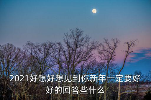2021好想好想見到你新年一定要好好的回答些什么