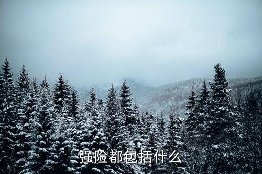 強險都包括什么