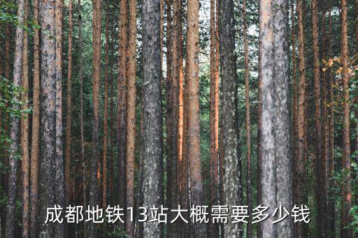 成都地鐵13站大概需要多少錢