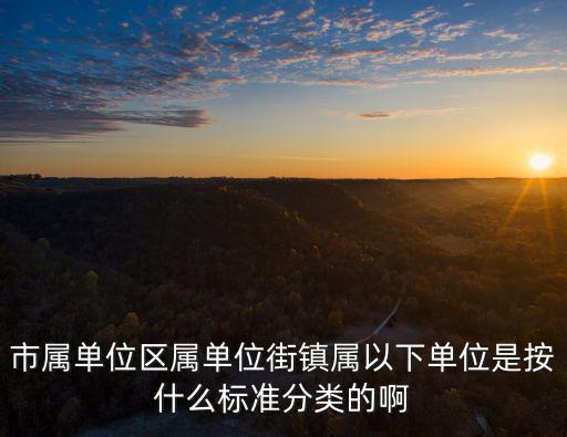 市屬單位區(qū)屬單位街鎮(zhèn)屬以下單位是按什么標(biāo)準(zhǔn)分類的啊