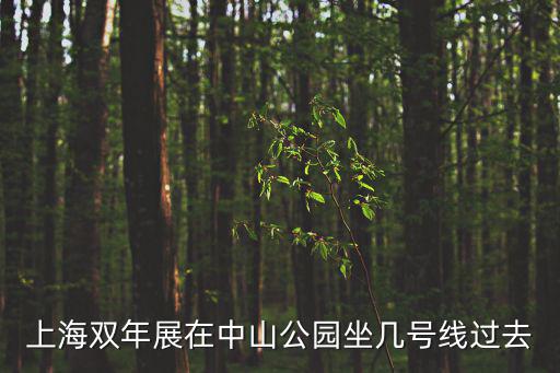 上海雙年展，上海雙年展多少年舉辦一屆