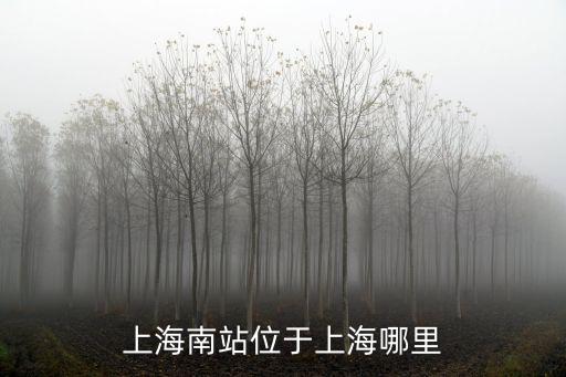 上海南站地址，上海南站位于上海哪里