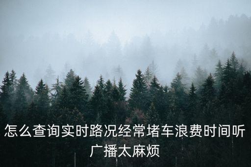 怎么查詢實時路況經常堵車浪費時間聽廣播太麻煩