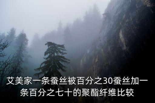 艾美家，資陽艾美家在什么位置