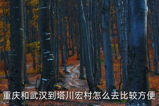 重慶和武漢到塔川宏村怎么去比較方便