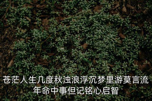 夢里游，夢中游太空想要入非非飛飛是什么生肖