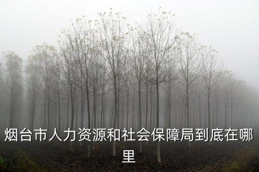 煙臺市人力資源和社會保障局到底在哪里